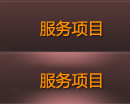服務(wù)項(xiàng)目